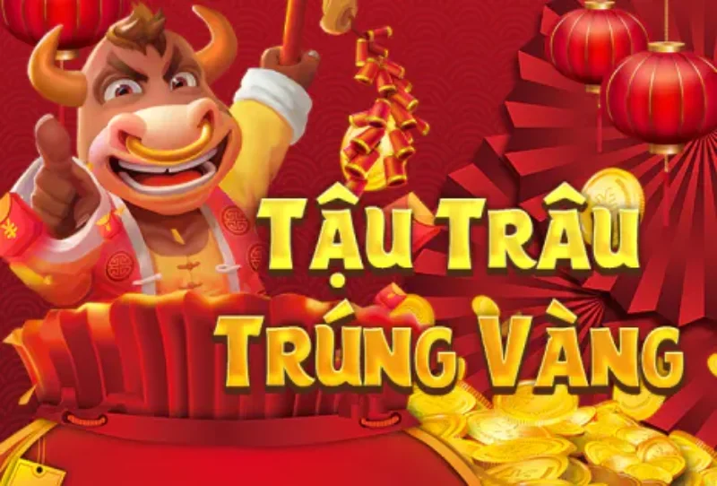 Kỹ thuật tậu trâu trúng vàng khi quay hũ 